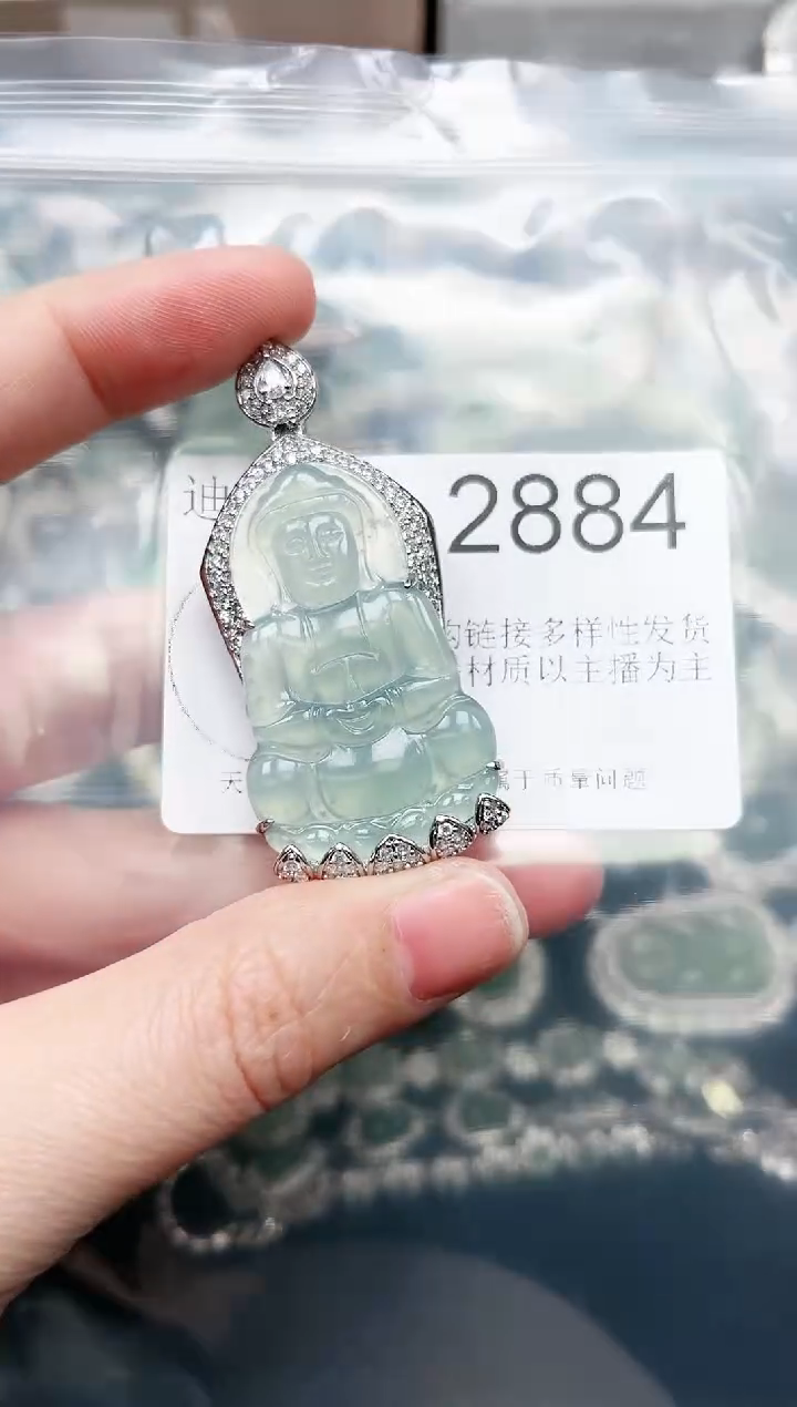 【闪购商品】翡翠颈饰未镶嵌赠皮绳2884
