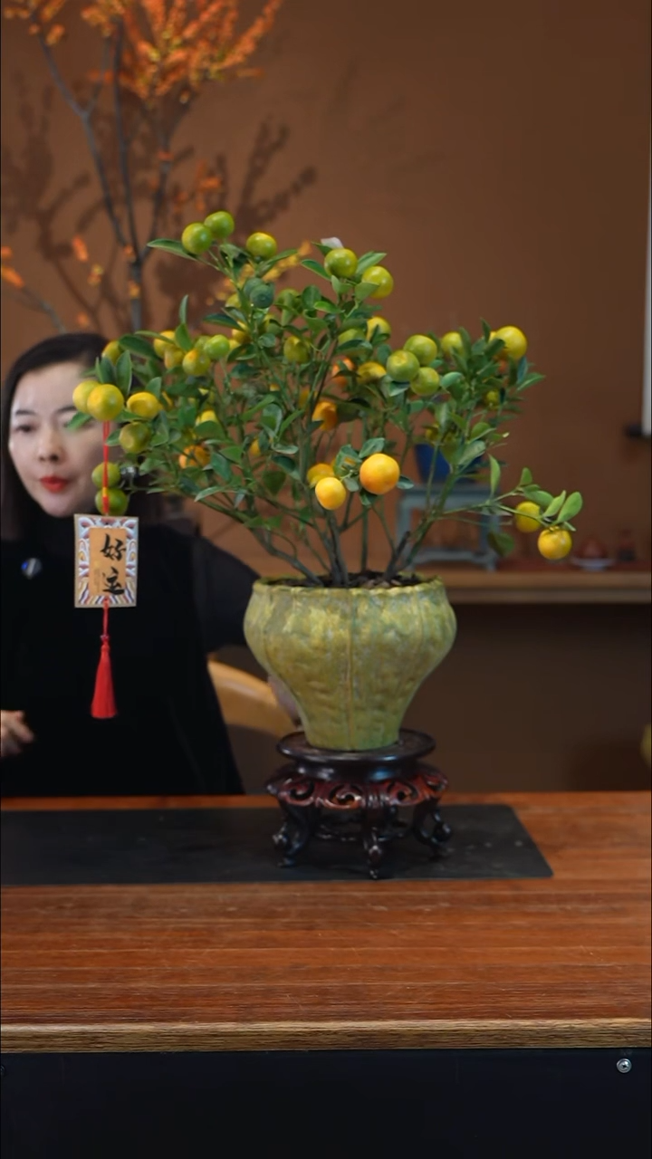 全部花朵小金橘黄盆盆景盆景盆景