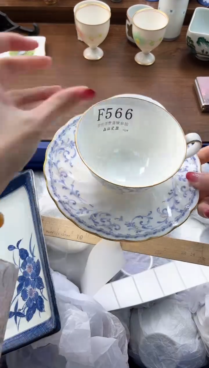 【闪购商品】瓷片----------F566