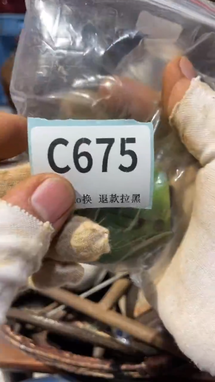 陶瓷**蒙蒙火爆火爆热卖热卖