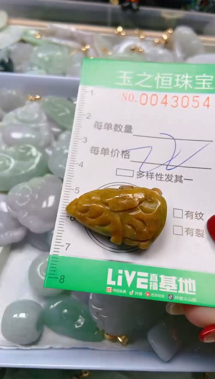 【闪购商品】翡翠颈饰未镶嵌闪购0043054