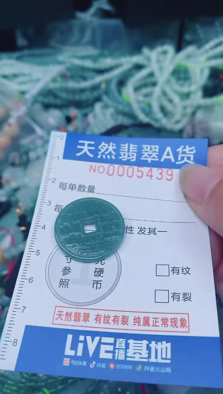 颈饰未镶嵌翡翠00005439