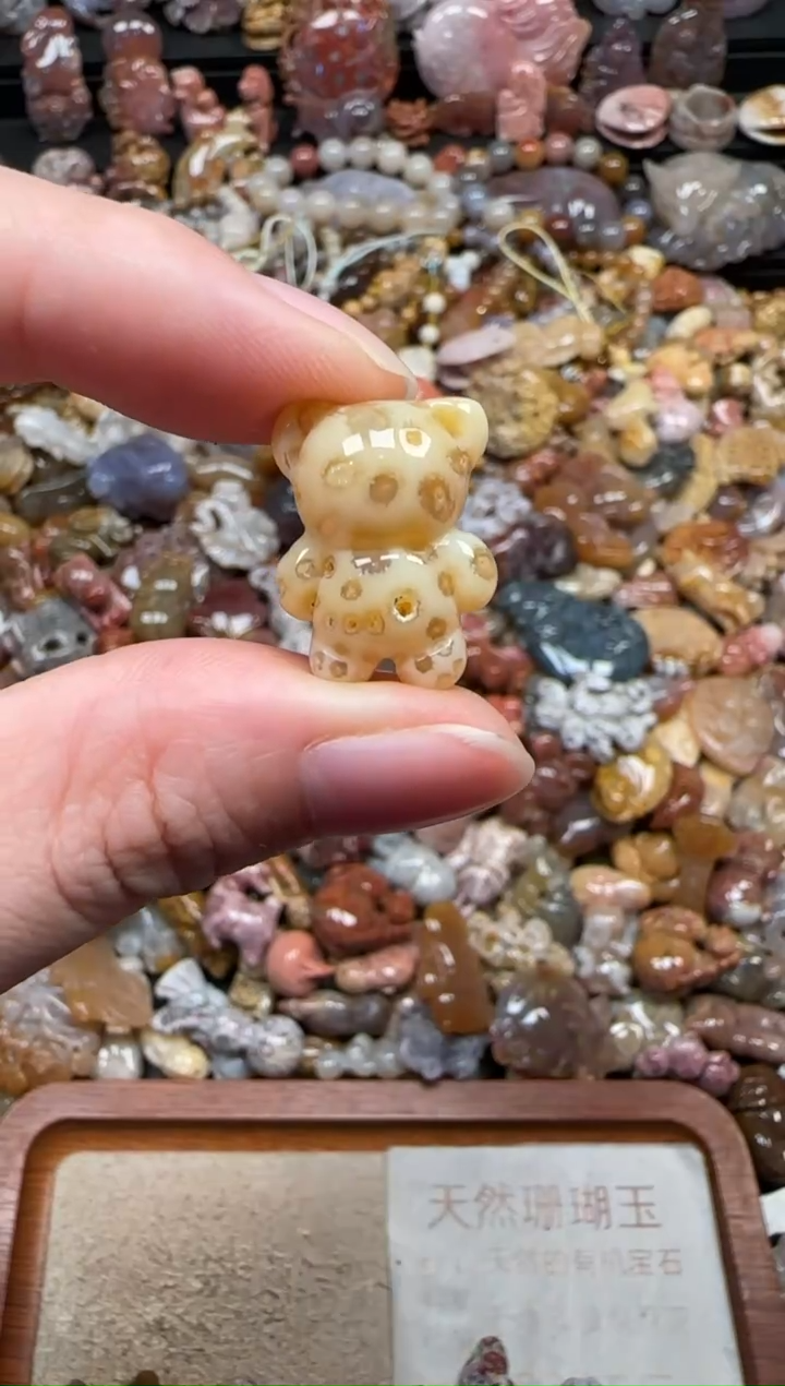 颈饰未镶嵌硅化珊瑚（珊瑚玉）563