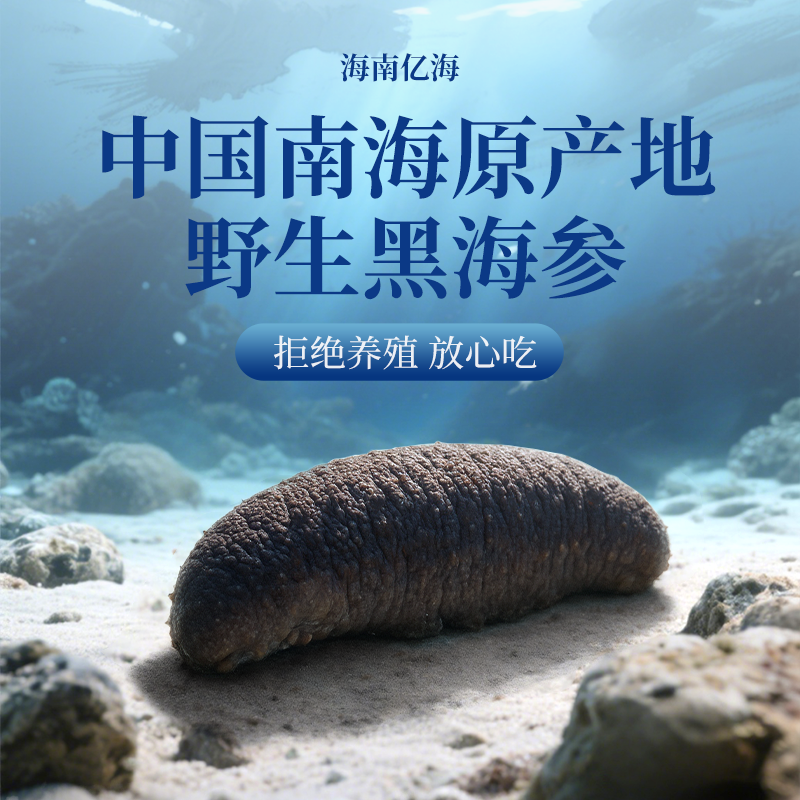 南海野生黑海参1500g装新鲜冷冻孕妇滋补送礼礼品冷链包邮次日发