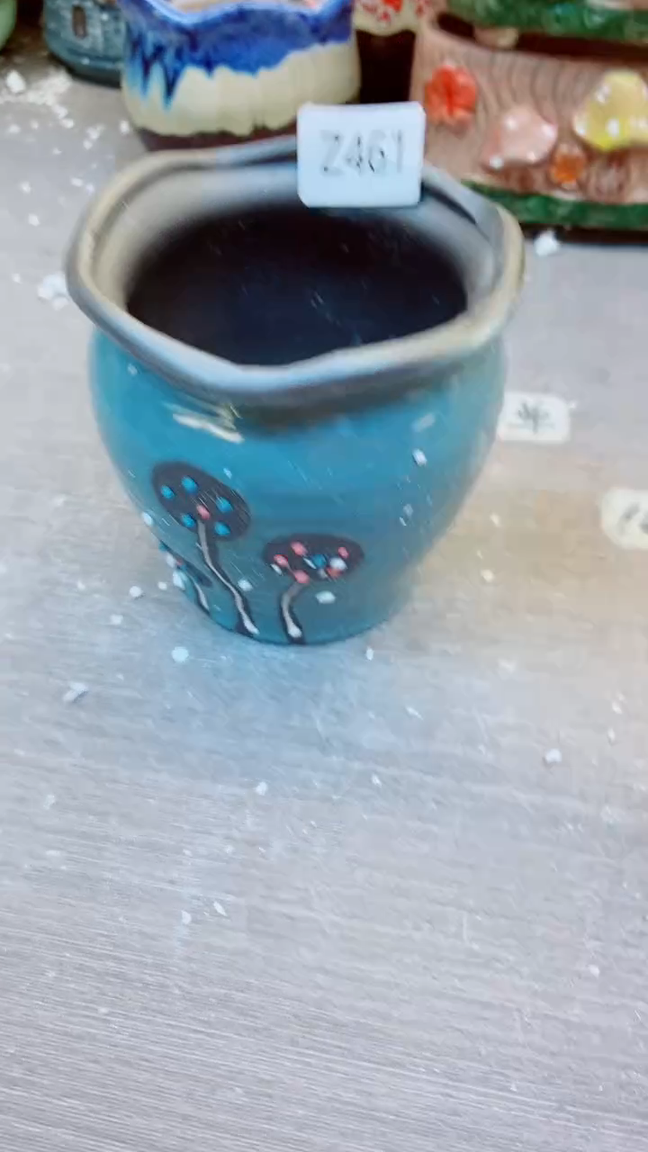 【闪购商品】陶瓷@@Z461