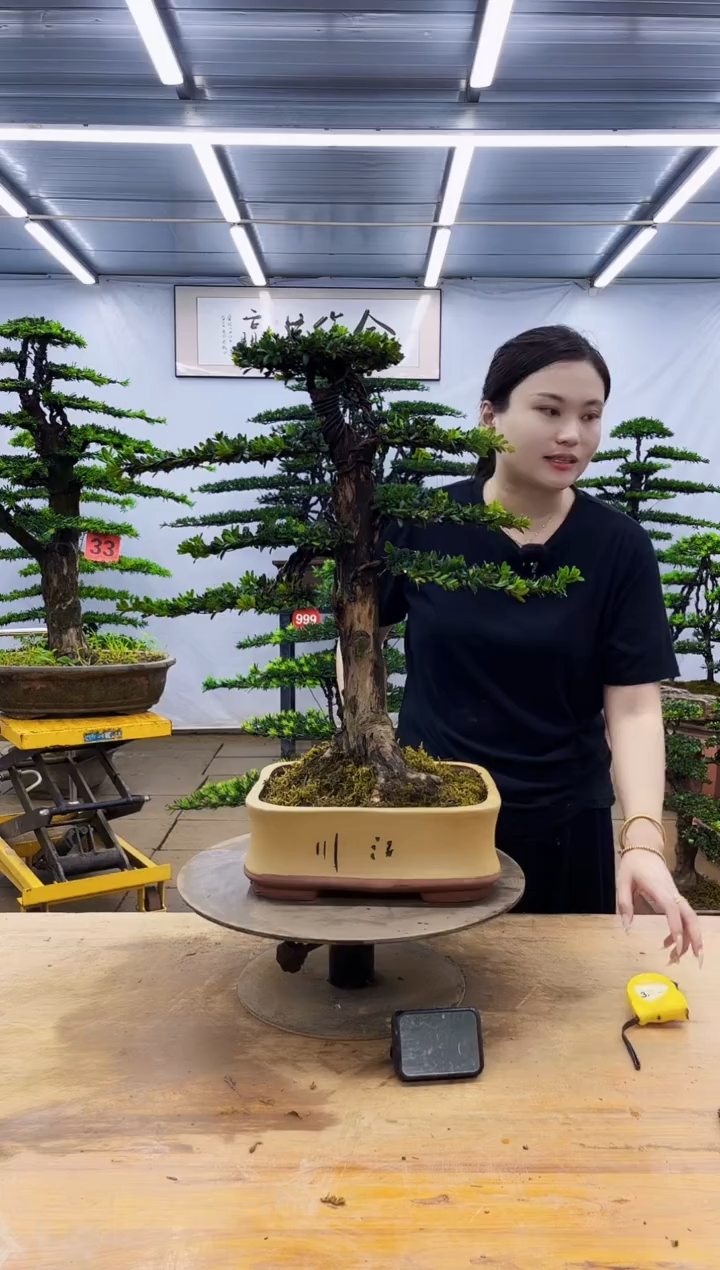 无花朵一物一拍，所见即所得