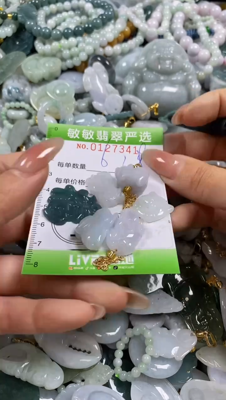 【闪购商品】翡翠颈饰未镶嵌闪购0127341