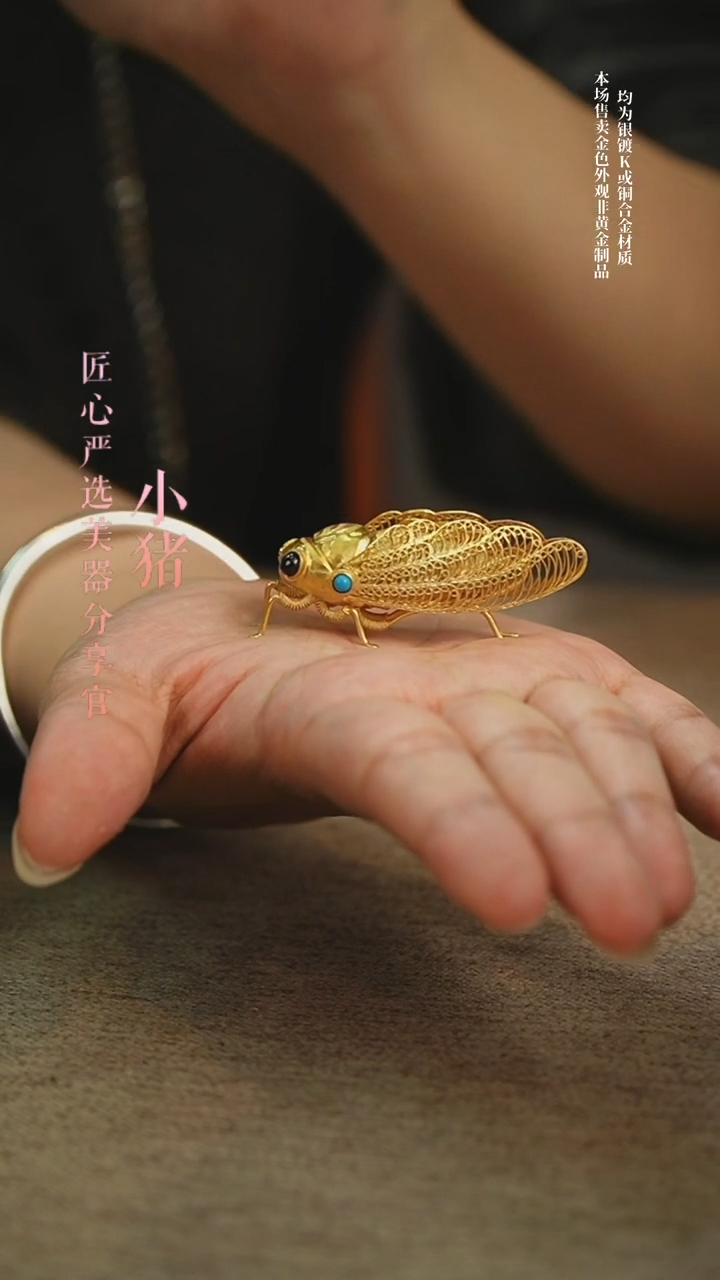 金蝉                 