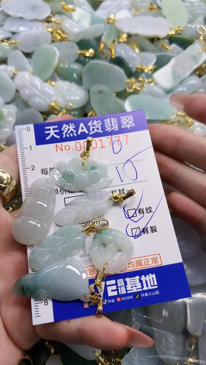 颈饰未镶嵌翡翠s****Y天然A货翡翠