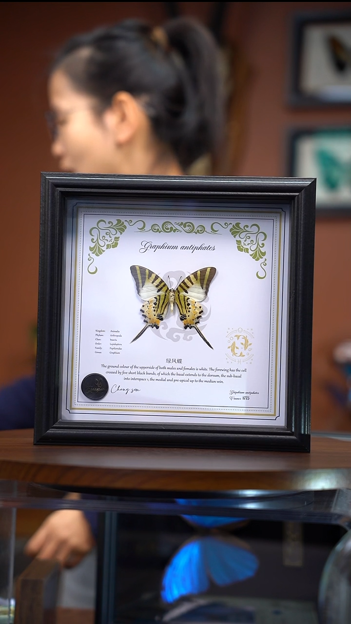 N**oZ154    五指发财的