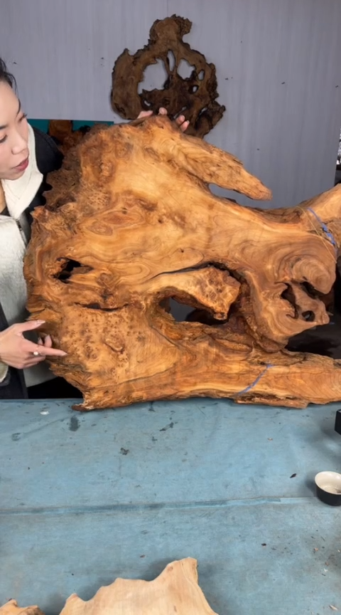 【闪购商品】香杉木木艺杉木瘤随型【原料】029