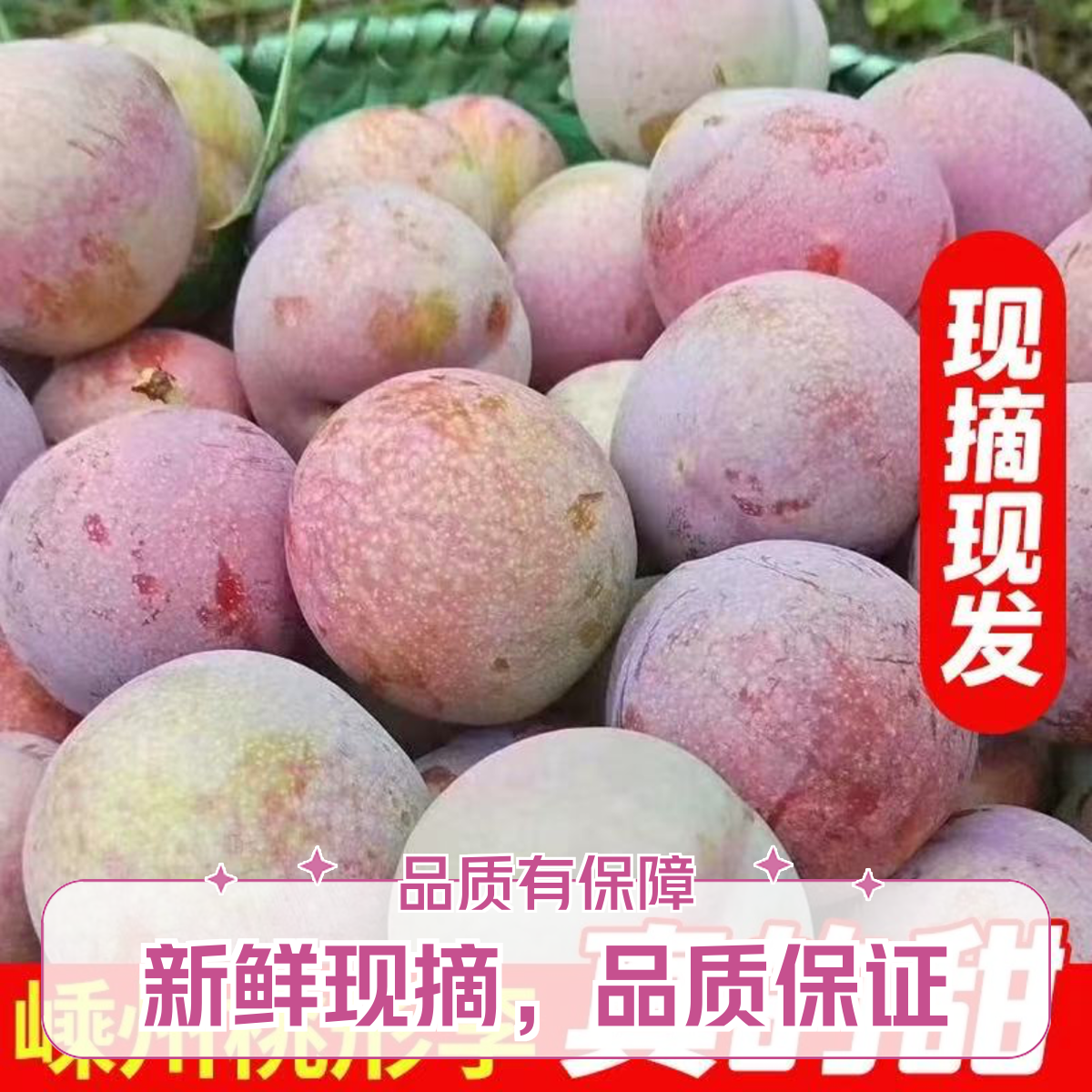 【甄选】正宗嵊州桃形李7月时令新鲜现摘现发红心李子孕妇水果浙江省