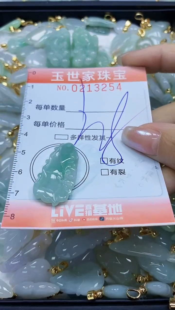 【闪购商品】翡翠未镶嵌颈饰闪购0213254