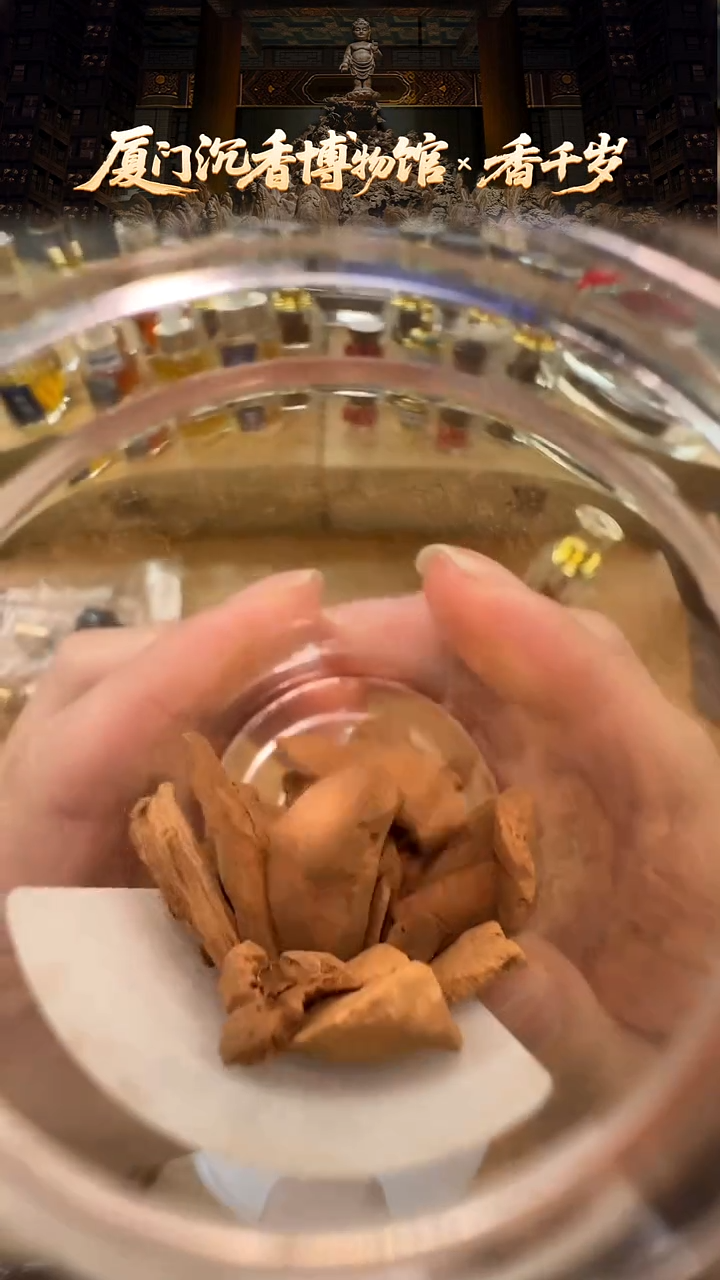 香料越南富森红土千年碳化料 4.7g+