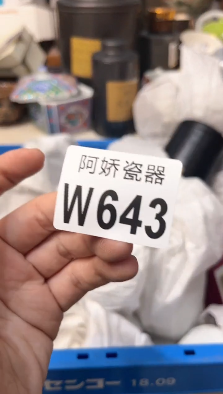 【闪购商品】瓷片643v拿不出手鱼v拿不出手鱼