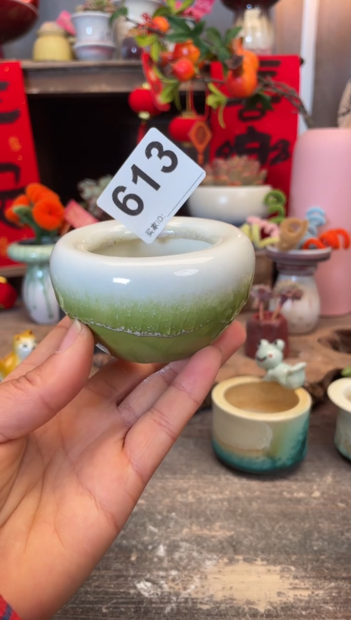 【闪购商品】摆件613知木小芳花盆