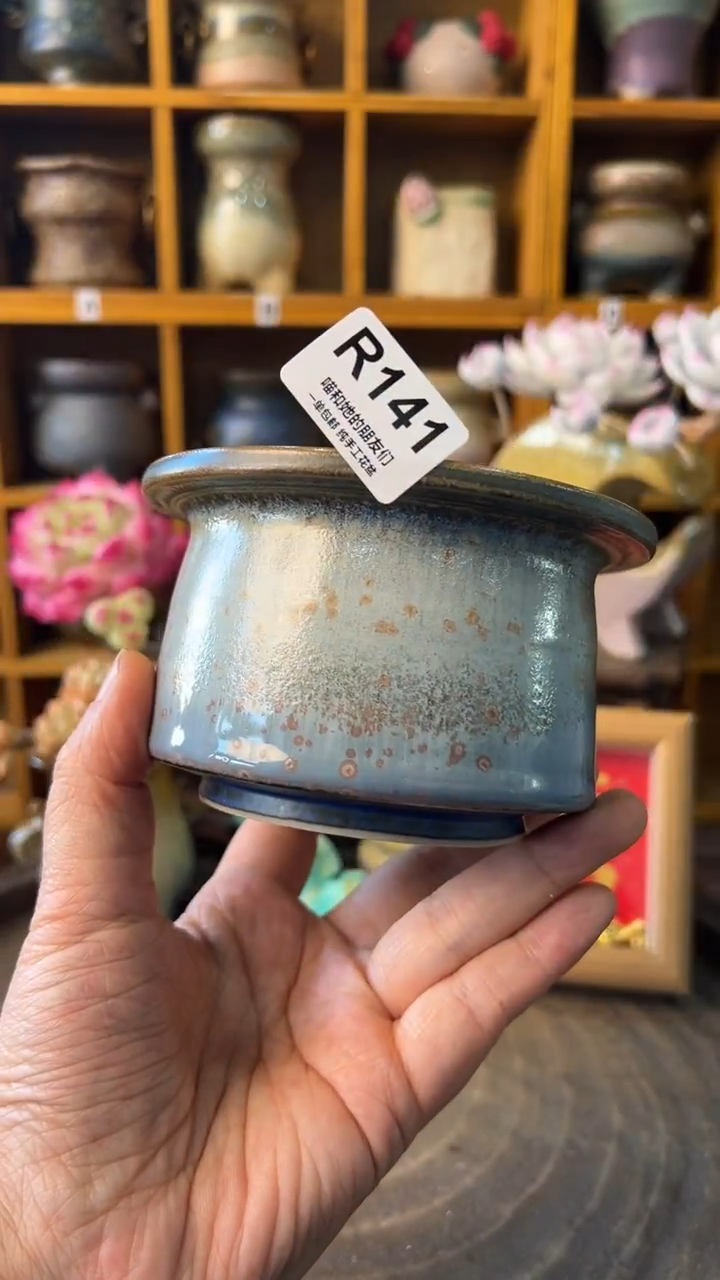 141 内口8.5【多肉花盆多肉盆】