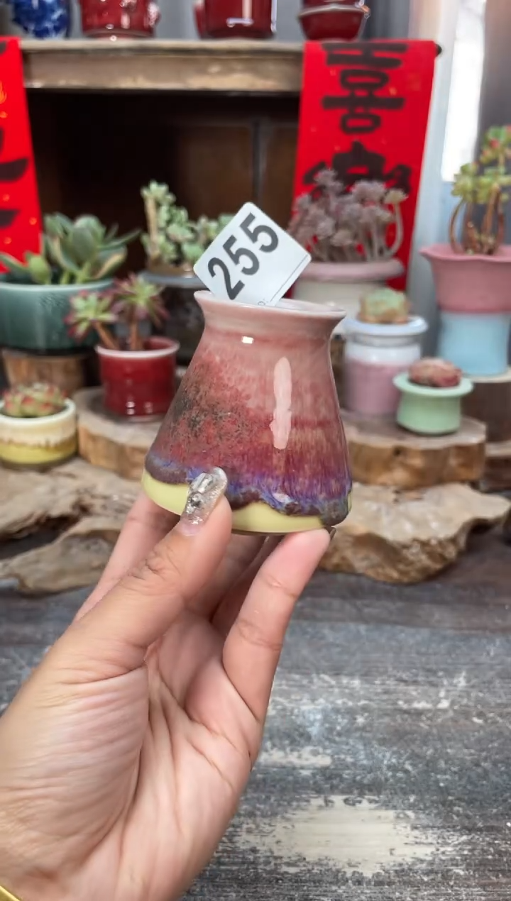 【闪购商品】摆件255知木小芳花盆