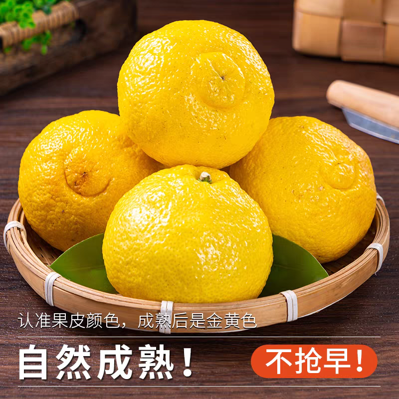 黄金贡柚5斤金香柚