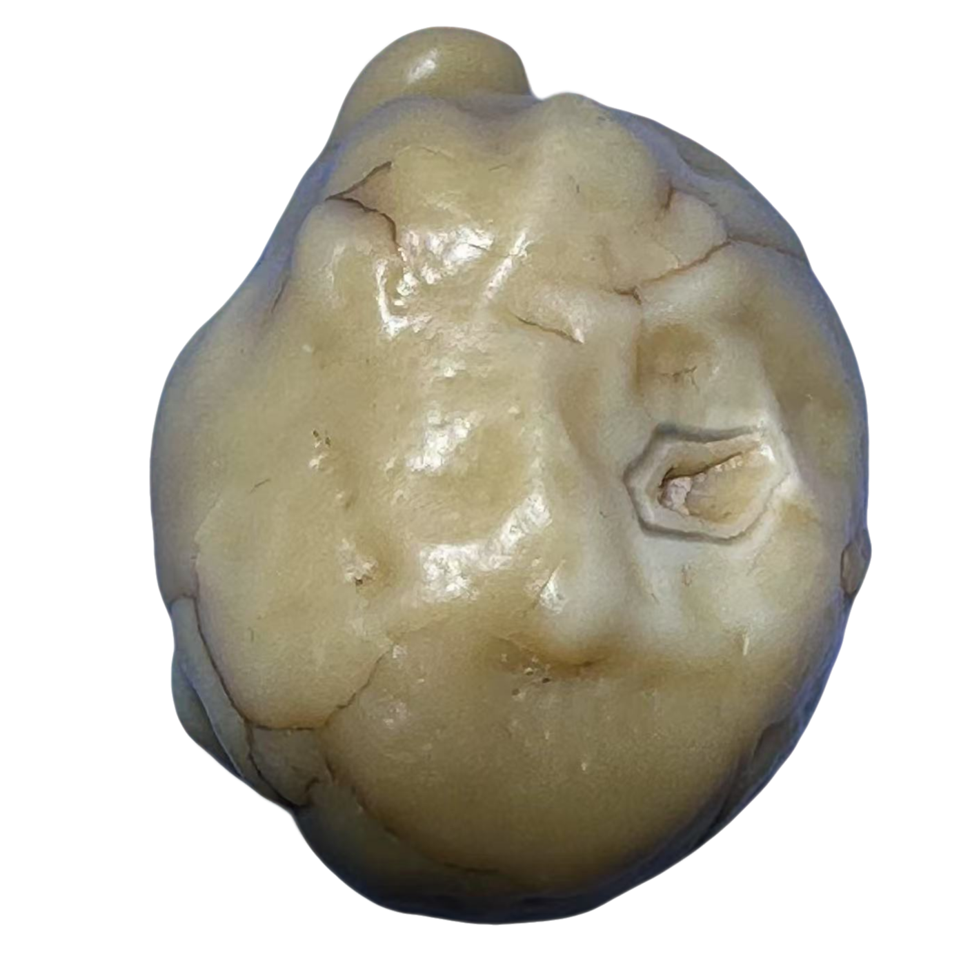 阿拉善戈壁  眼睛  经脉 草花