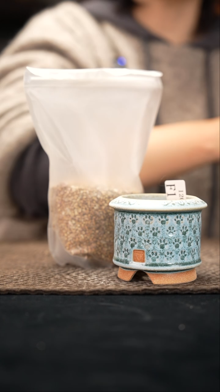 口径6花盆-12-3-116特送麦饭石