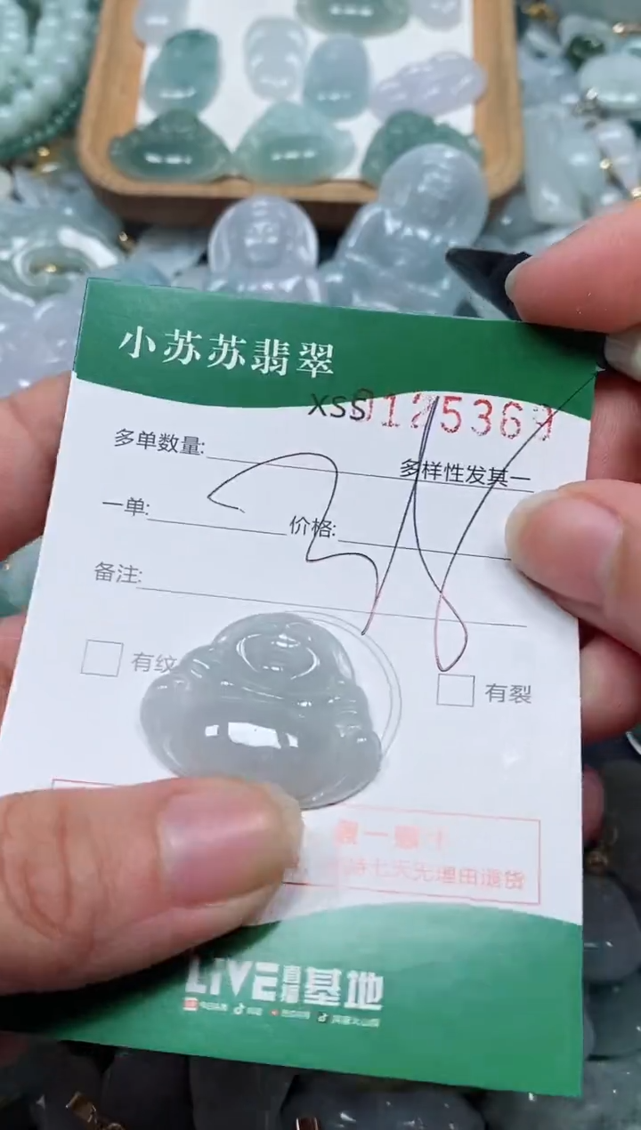 【闪购商品】翡翠颈饰未镶嵌闪购商品0125369