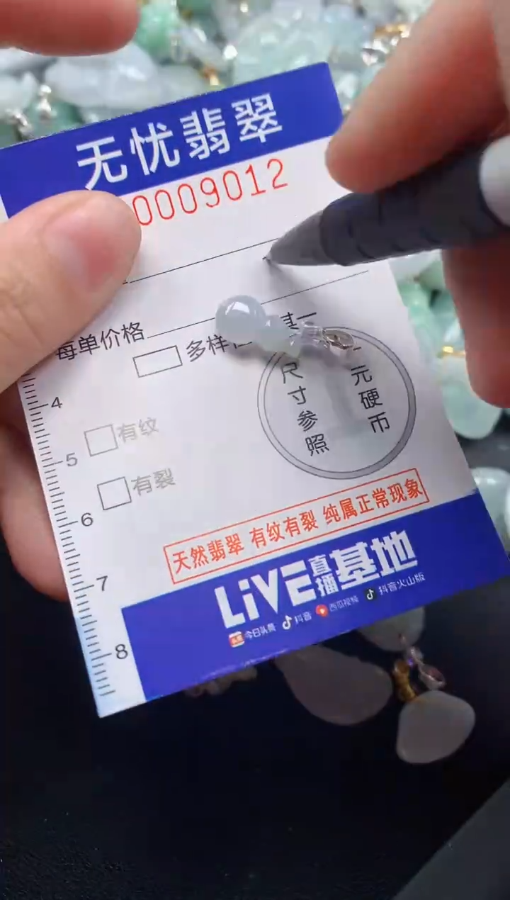 颈饰未镶嵌翡翠9012