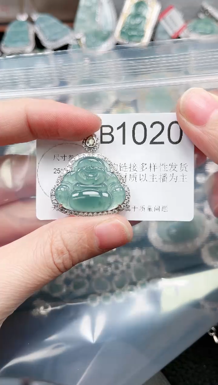 【闪购商品】翡翠颈饰未镶嵌赠皮绳1020