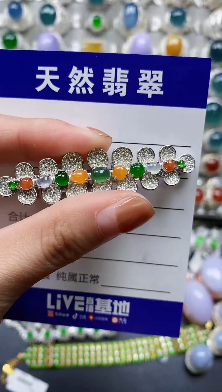 【闪购商品】翡翠颈饰银S925镶嵌0402