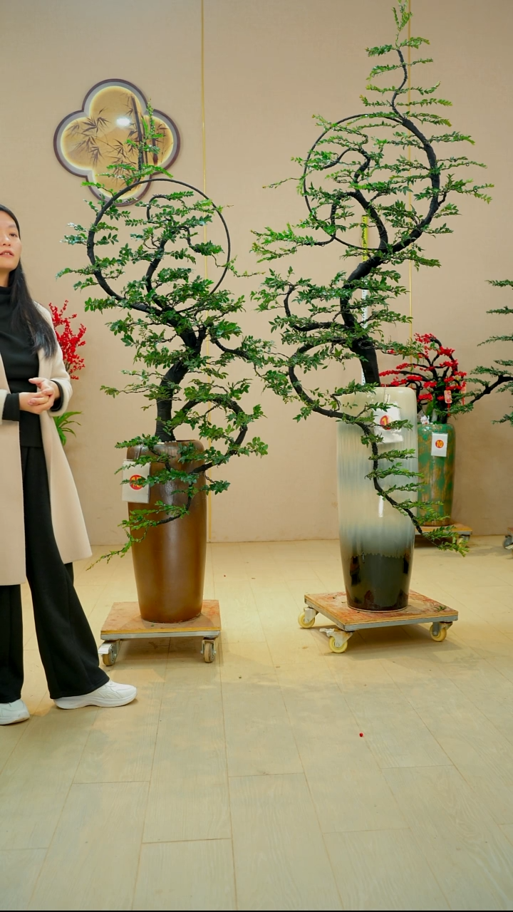 以实际为准Z*生【广东小叶紫檀】落地高端盆景绿植四季常青常绿