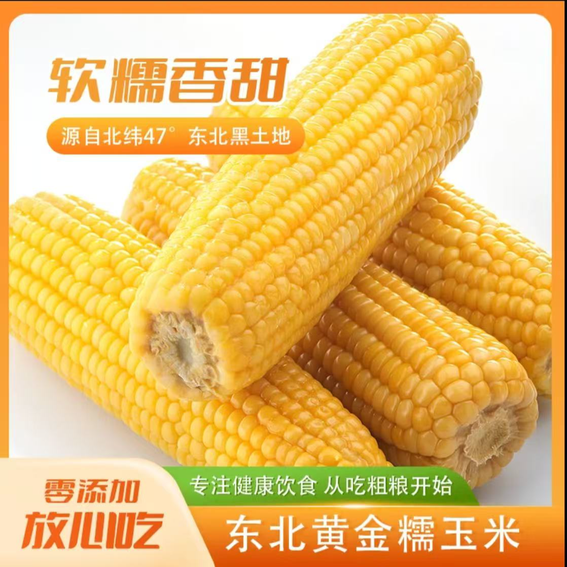[试吃两根]10根装正宗东北黄糯玉米软糯甜单支280克整箱6斤左右