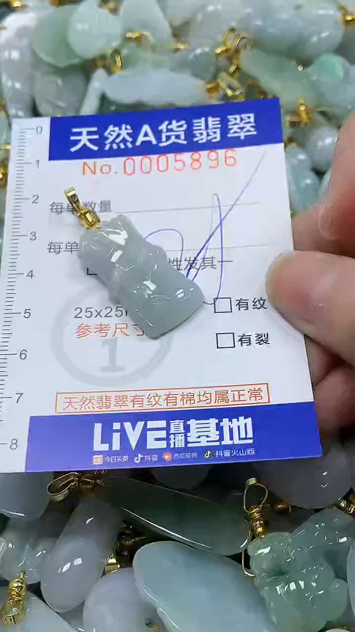 颈饰未镶嵌翡翠纯天然a货翡翠