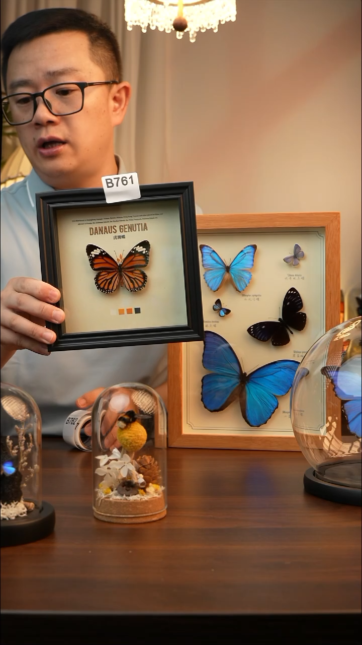 虎斑蝶（6寸方黑色新款框）B761