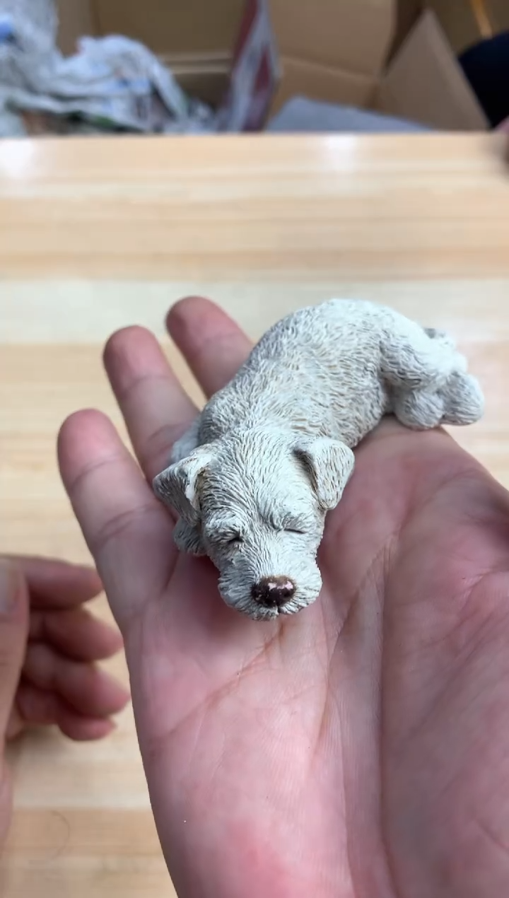 默认微瑕，no退no换，介意勿拍