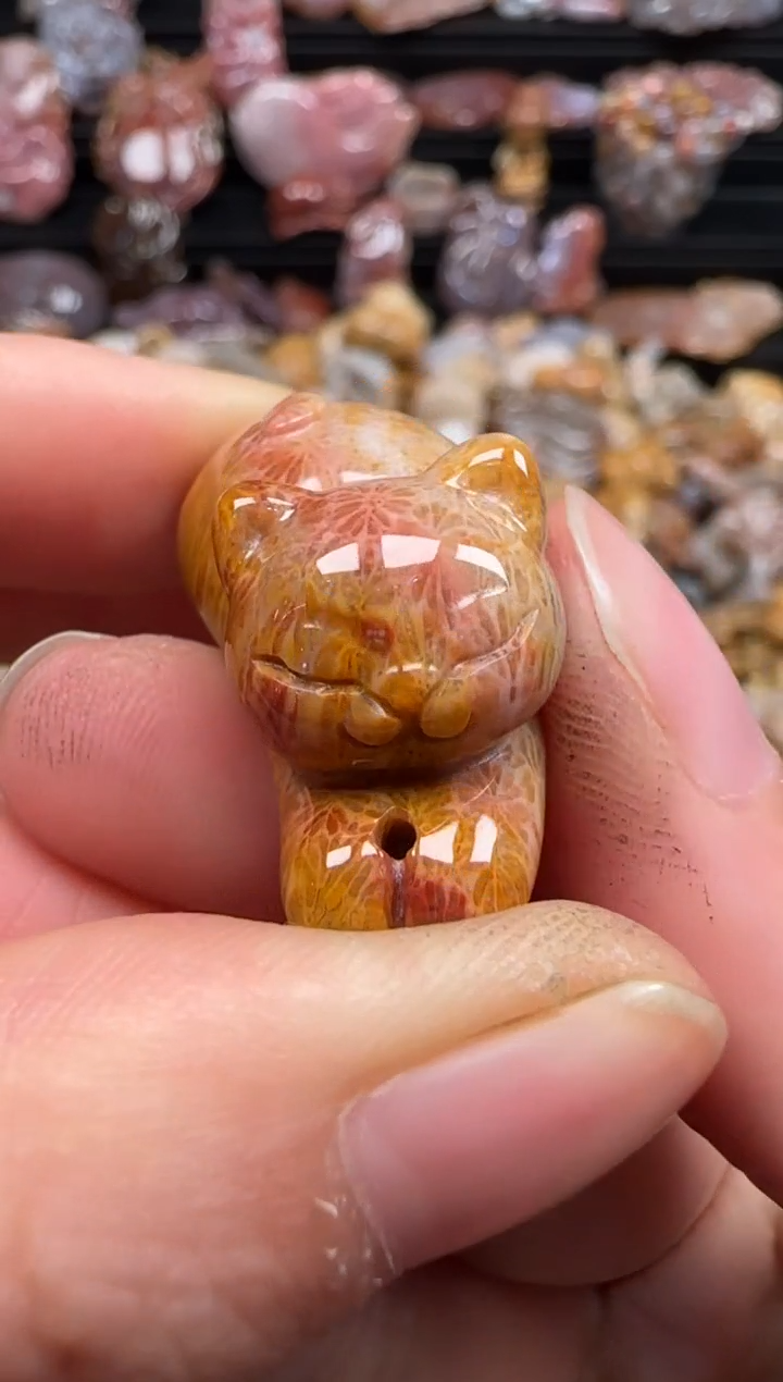 【闪购商品】硅化珊瑚（珊瑚玉）颈饰未镶嵌386