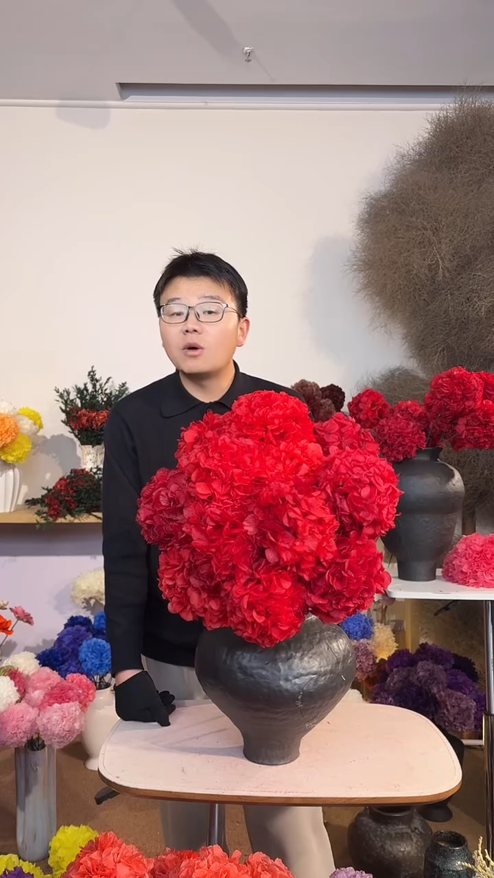 漂色永生大叶绣球花球 11枝  红（开播福利）