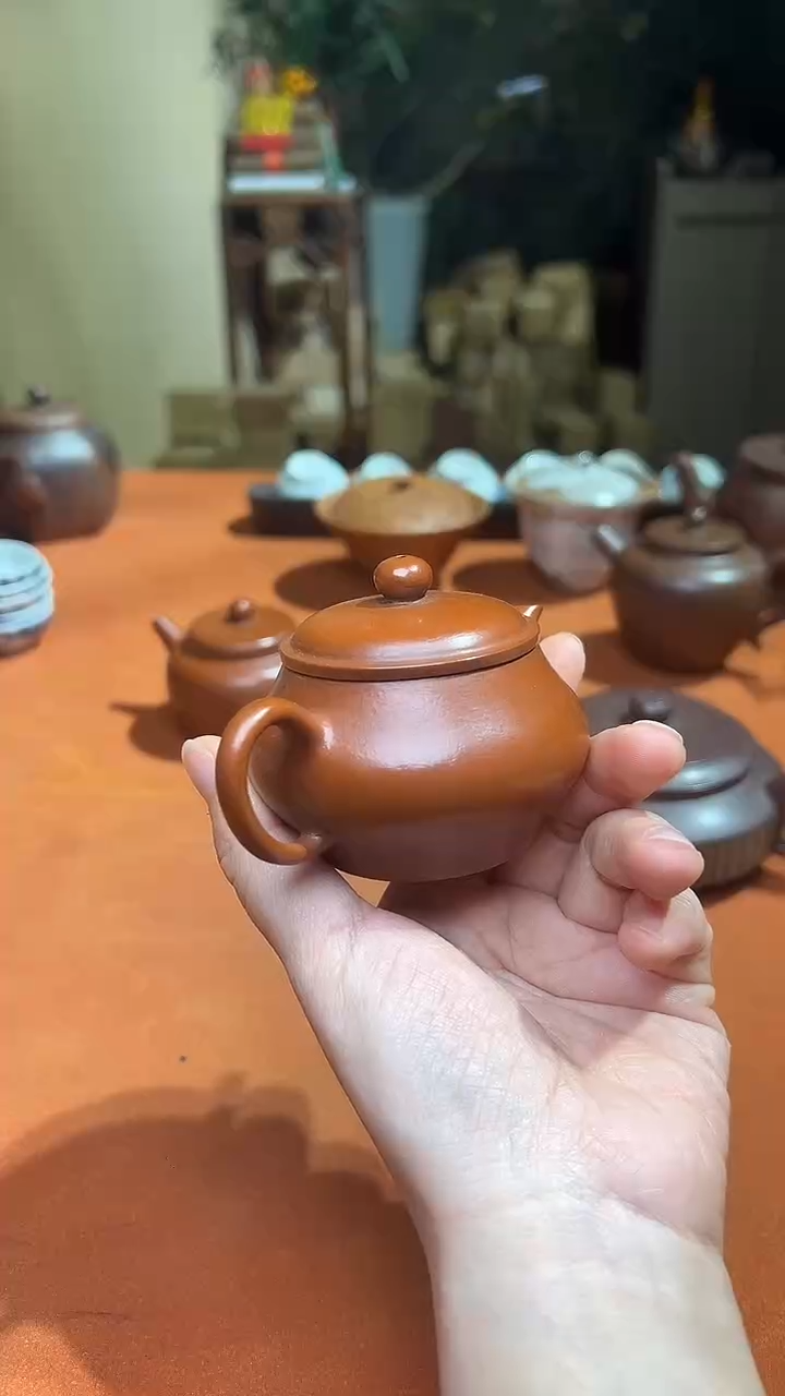 伟*老壶44444444