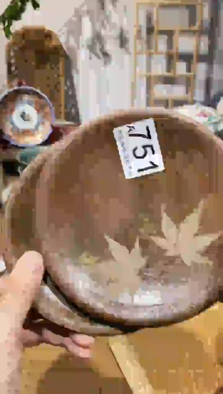 瓷片z****i闪购专用链接