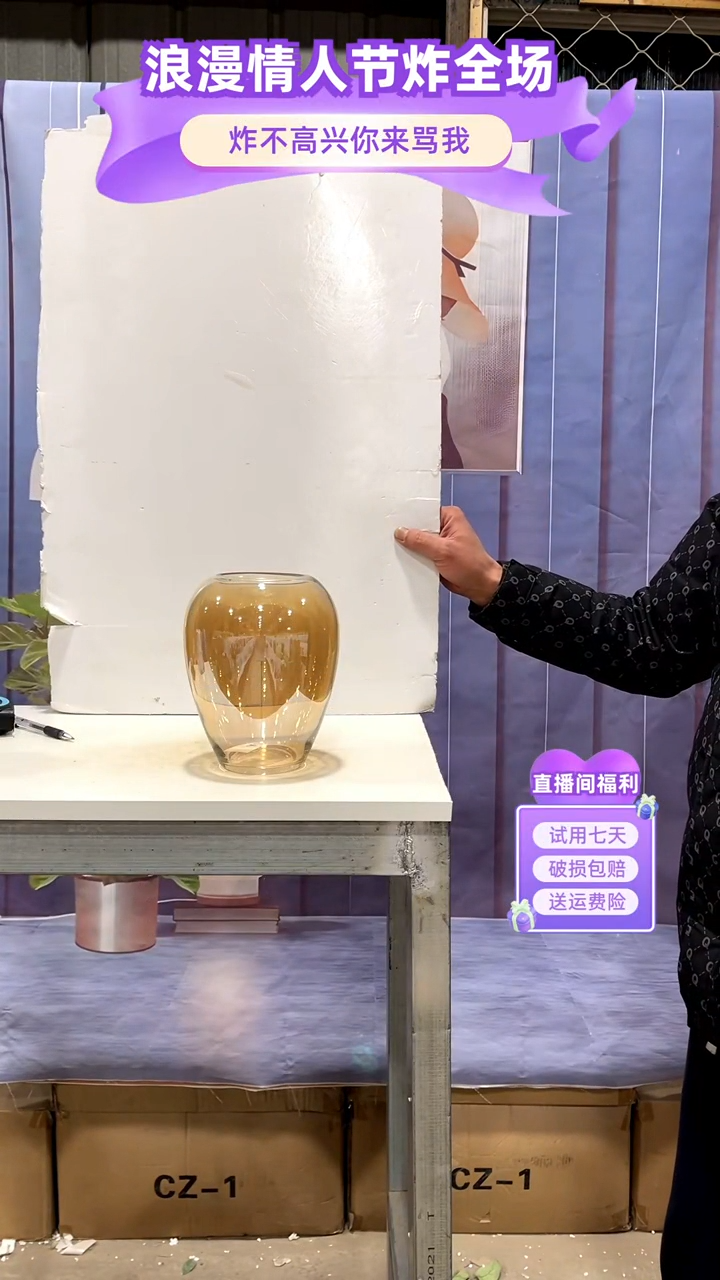 【闪购商品】玻璃167香槟色大肚花瓶