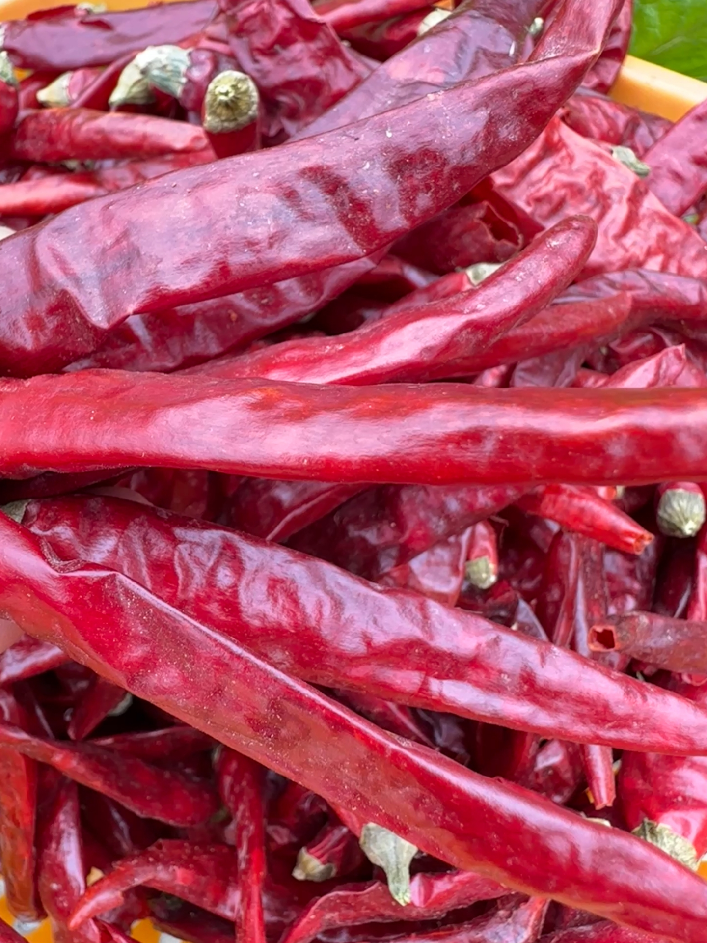 贵州遵义干红辣椒中辣条子辣椒红辣椒