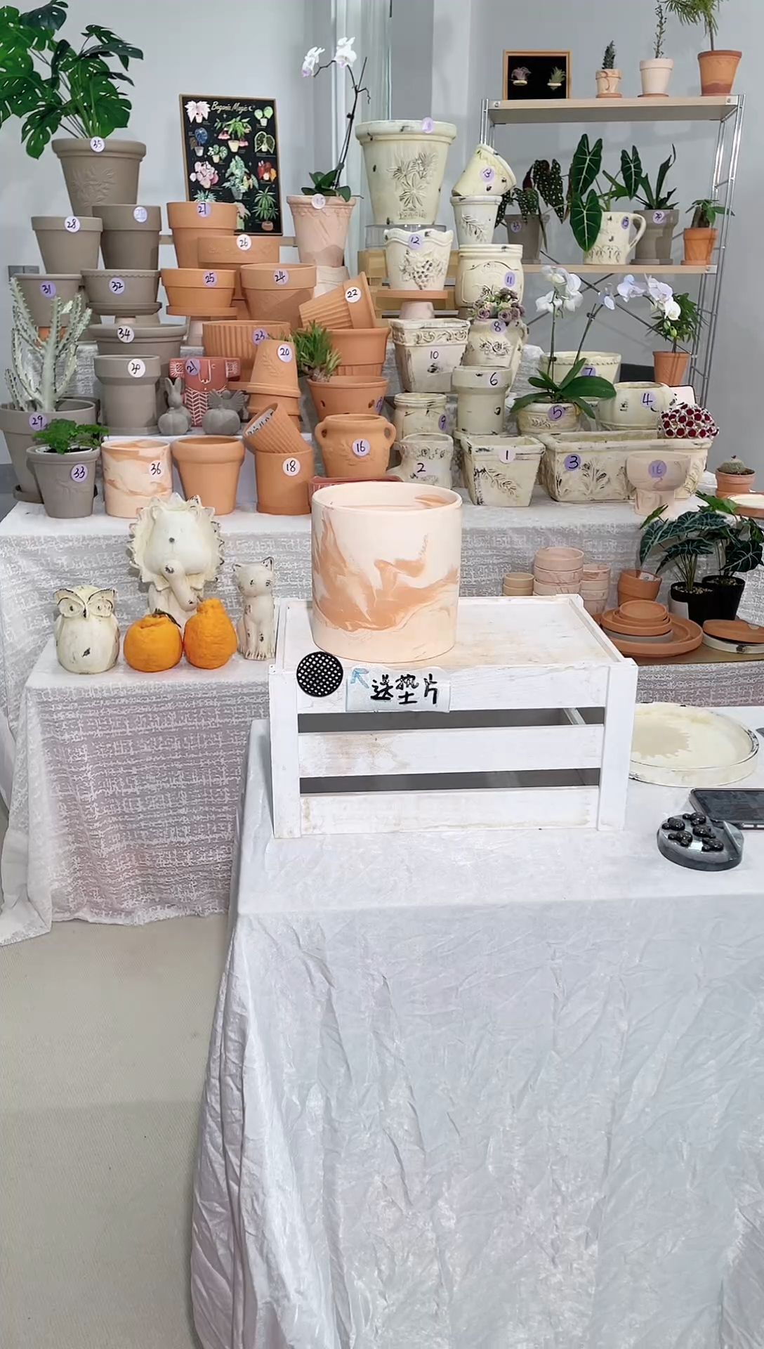 【闪购商品】陶1个无托 玛奇朵直筒盆口径15*15