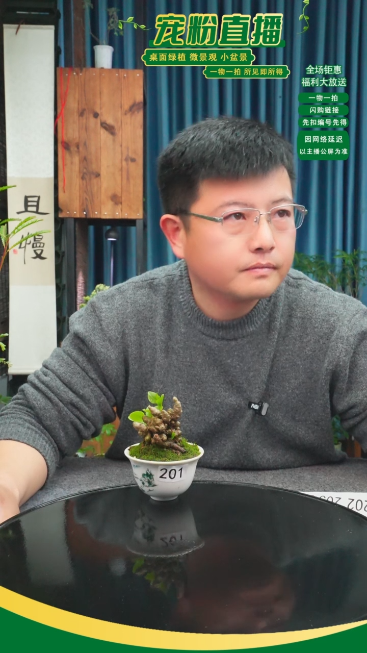 无花朵໑****࿐苔藓微景观201号