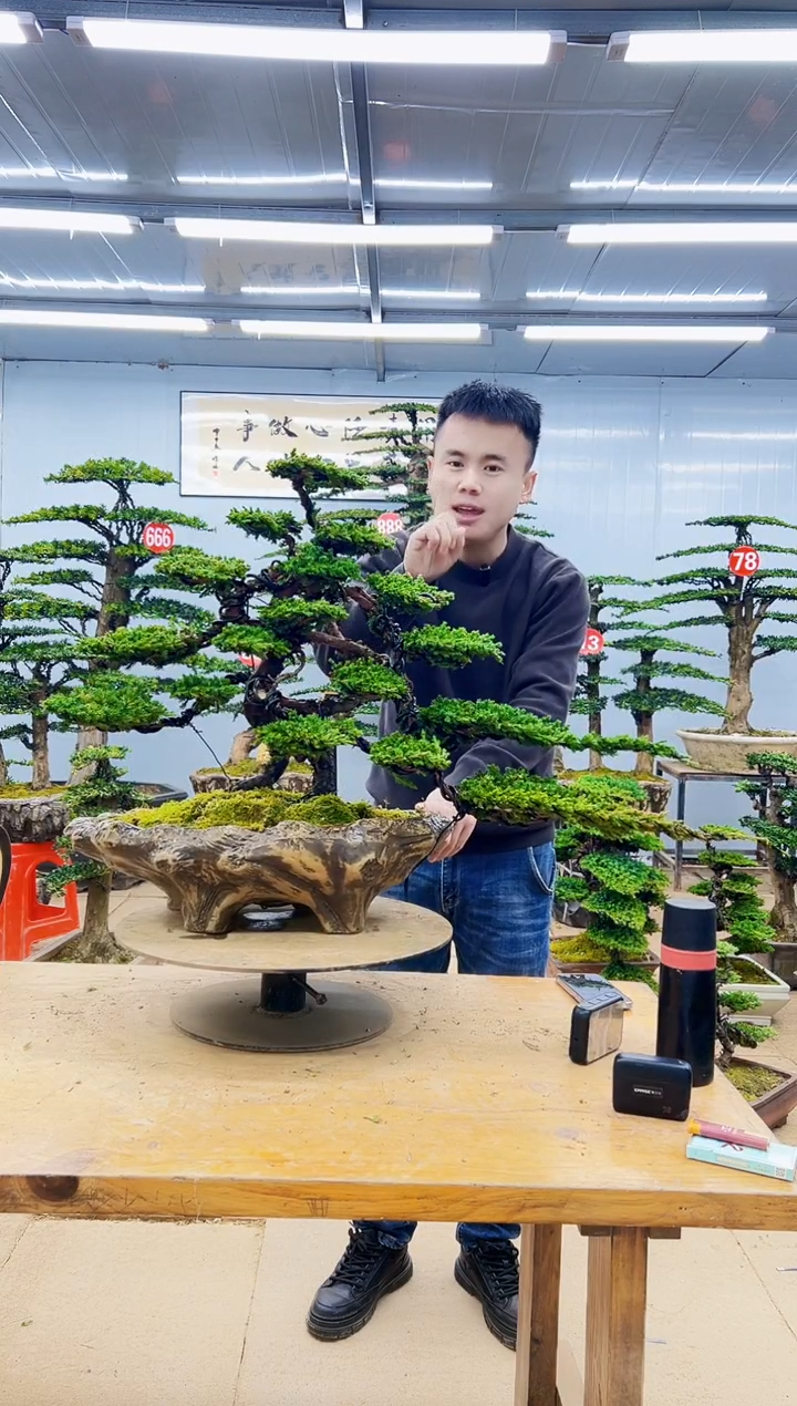 无花朵0000000000000000000000