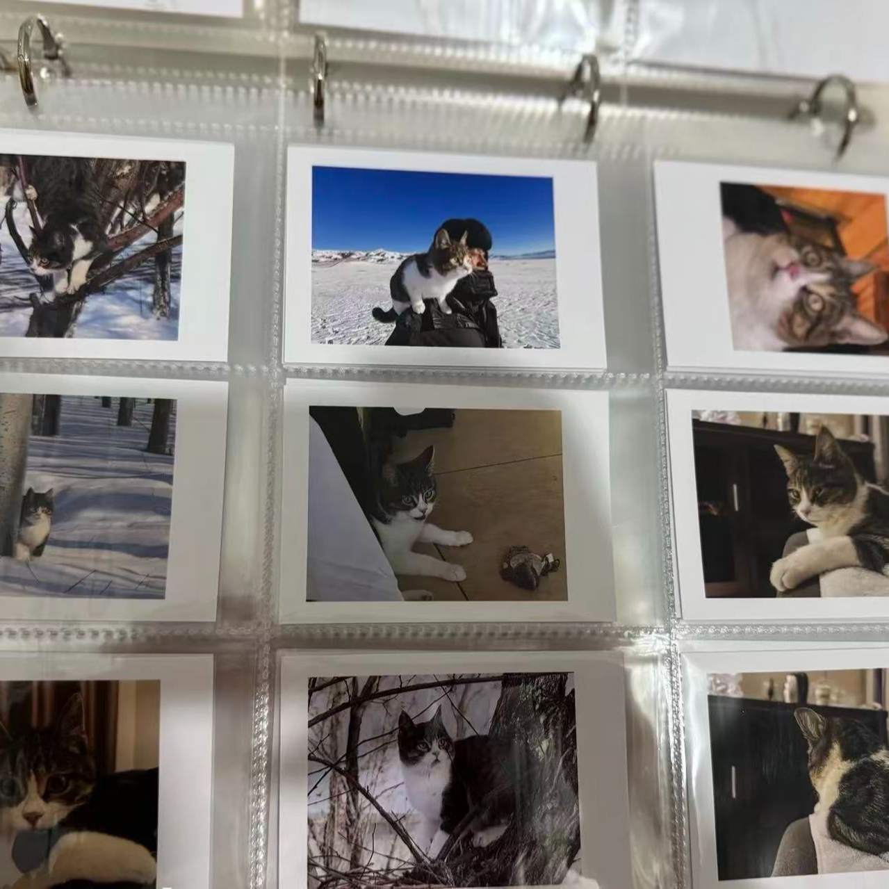 【二号链接】拍下一号链接之后点击这里找客服对接