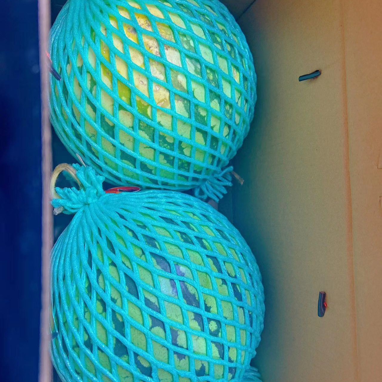 春春麒麟西瓜一个7.5斤左右