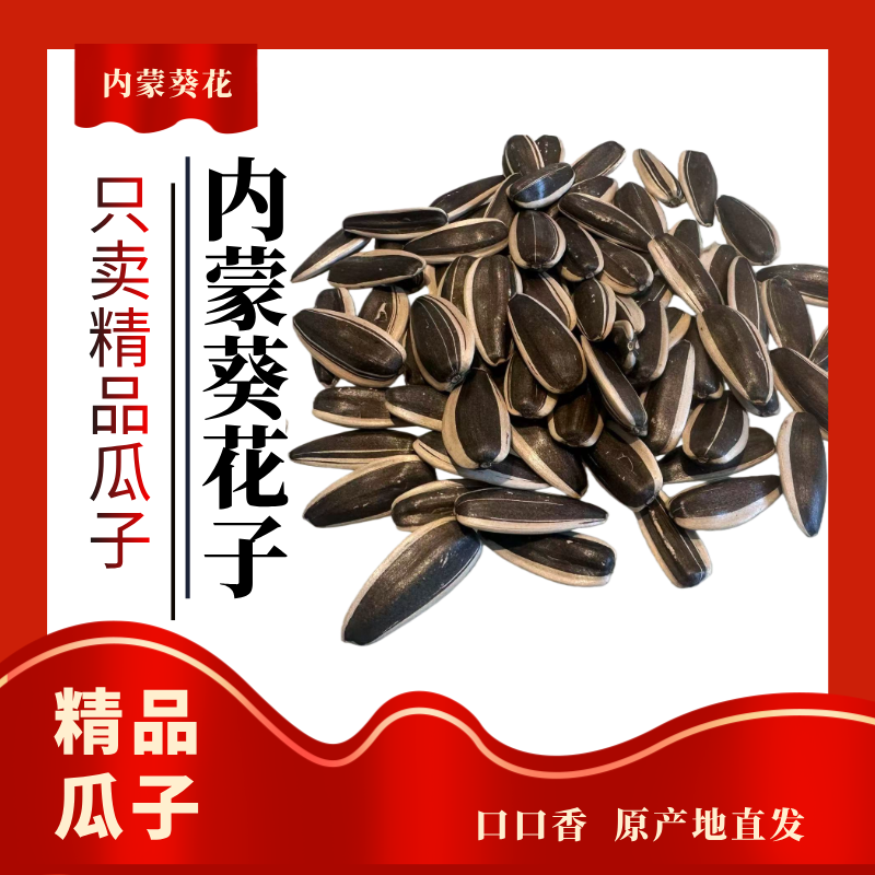 【柴火瓜子】内蒙古葵花籽大颗粒柴火瓜子原味瓜子大颗粒瓜子