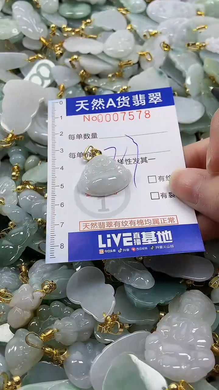 颈饰未镶嵌翡翠纯天然a货翡翠