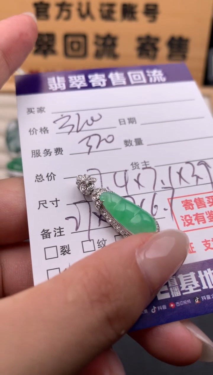 翡翠18K金镶嵌颈饰10133852