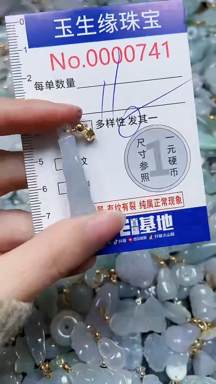 【闪购商品】翡翠颈饰未镶嵌闪购00000741