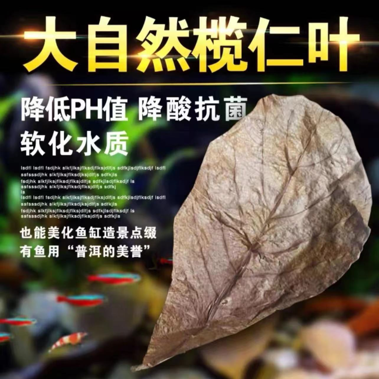 榄仁叶天然榄仁叶自然抗菌软化水质与改善水质PH值斗鱼乌龟热带鱼